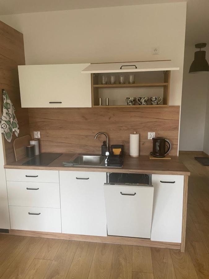 Apartament Kuba Na Spokojnej Висла Екстериор снимка